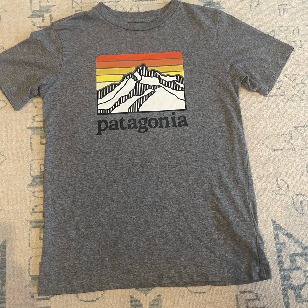 Kids Patagonia tshirt